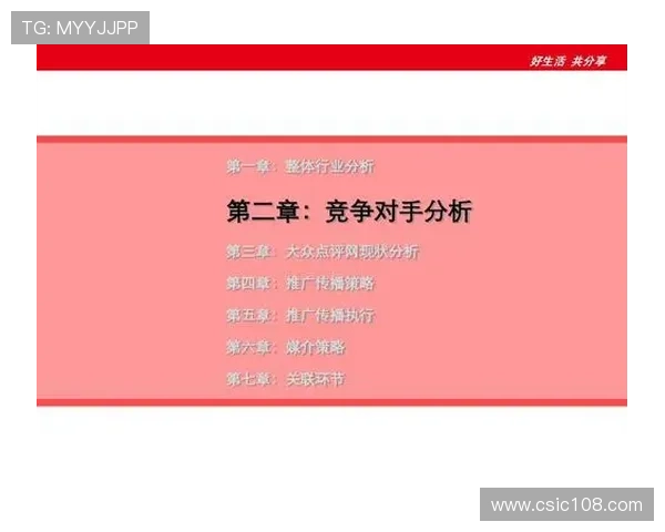 西安排球队在邀请赛中的团队协作表现分析与点评