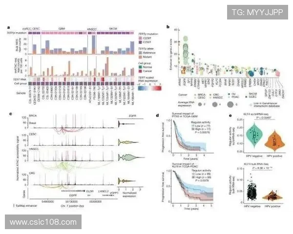 重庆乒乓球队的战术创新与转换体系解析及其对比赛的影响 重庆乒乓球队的战术创新与转换体系解析及其对比赛的影响
