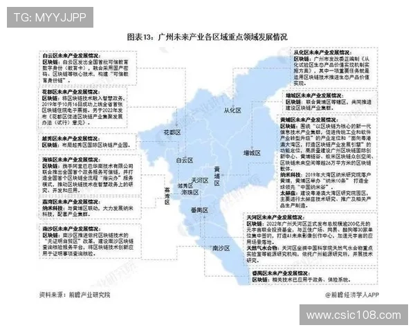 广州排球队状态深度对比分析及未来发展趋势探讨