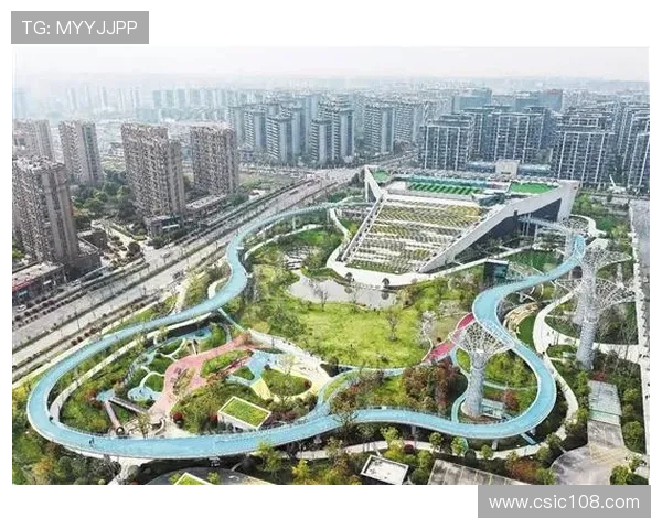 杭州乒乓球队运营模式解析与发展策略探讨