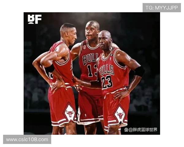 亿万身价的足球明星背后的奋斗与荣耀之路