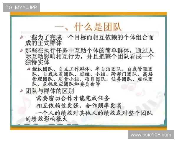 杭州排球队在冠军赛中的灵活战术与团队协作表现分析